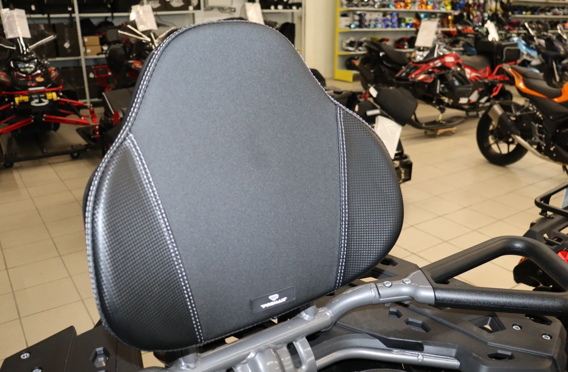 Квадроцикл PROMAX RENEGADE 300 LONG WINCH PRO (2025) в Волгограде