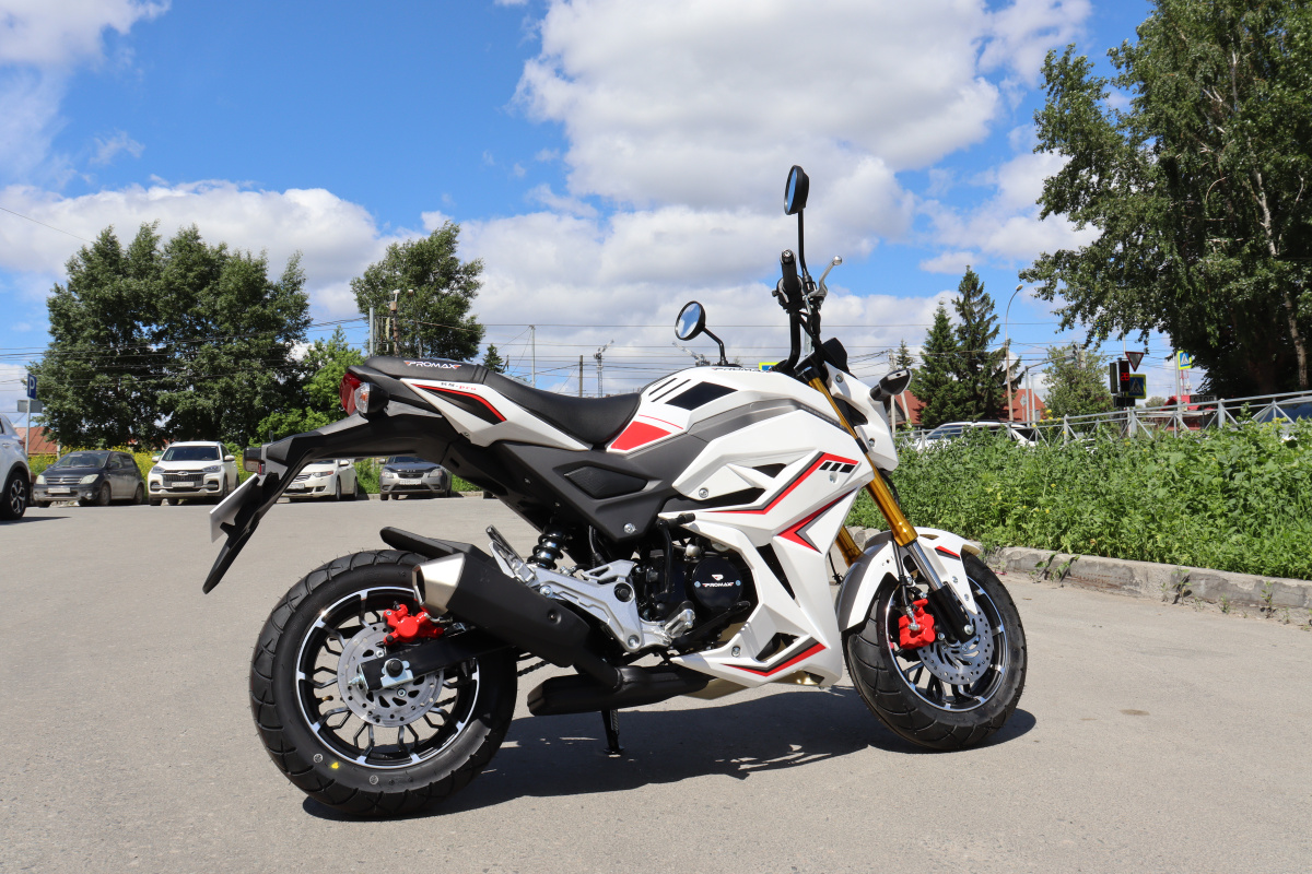 Мотоцикл PROMAX STRYKER 200(49) 2.0 в Волгограде