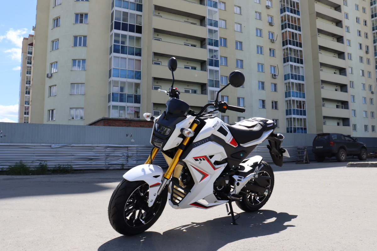 Мотоцикл PROMAX STRYKER 200(49) 2.0 в Волгограде