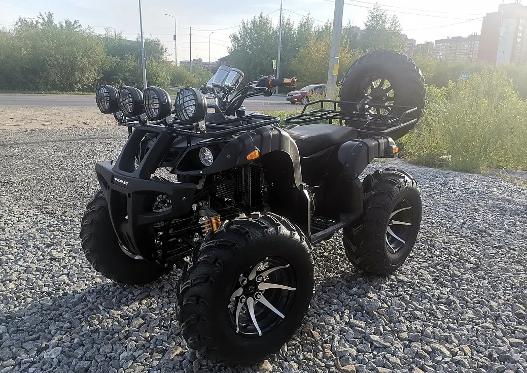 Квадроцикл PROMAX LEO 300 Max (кардан) в Волгограде