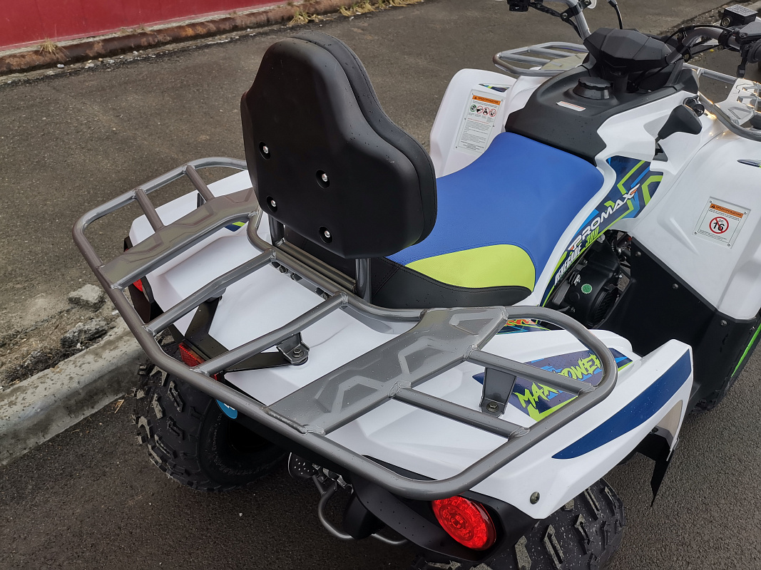 Квадроцикл PROMAX RENEGADE 280 LUX (2025) в Волгограде