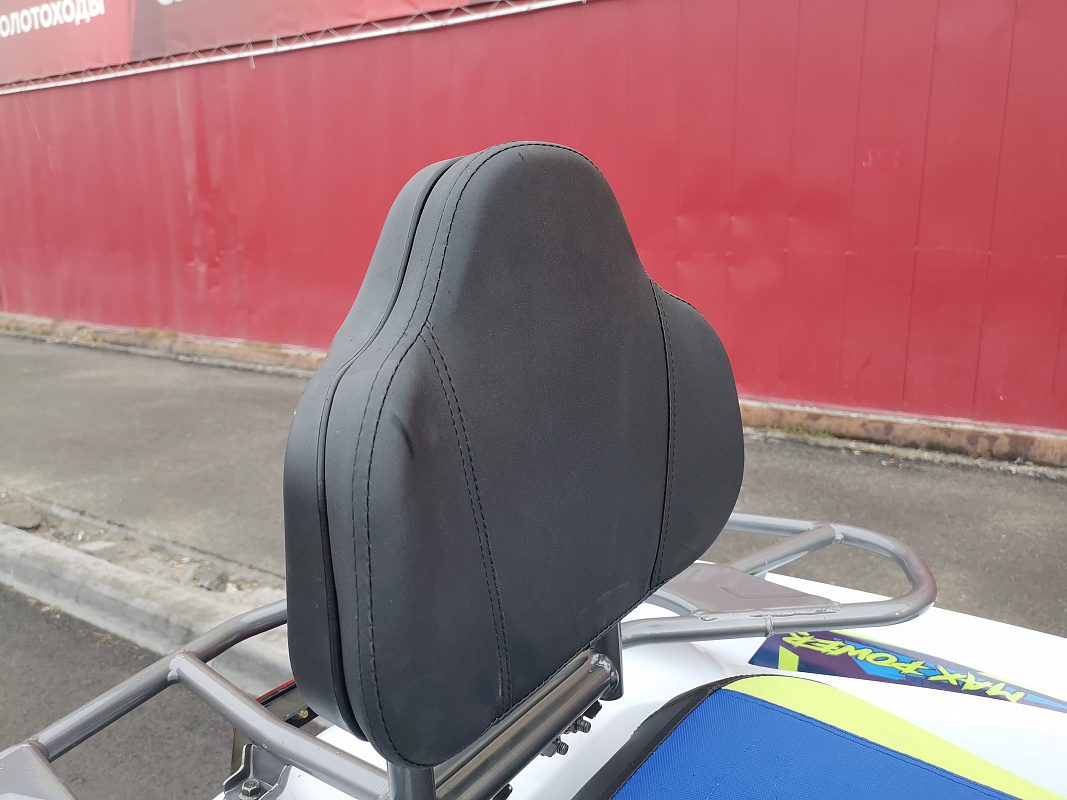 Квадроцикл PROMAX RENEGADE 280 LUX (2025) в Волгограде