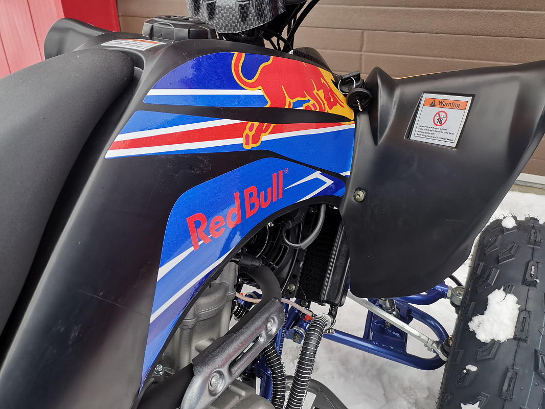 Квадроцикл PROMAX RAPTOR 300 NEW RedBull в Волгограде
