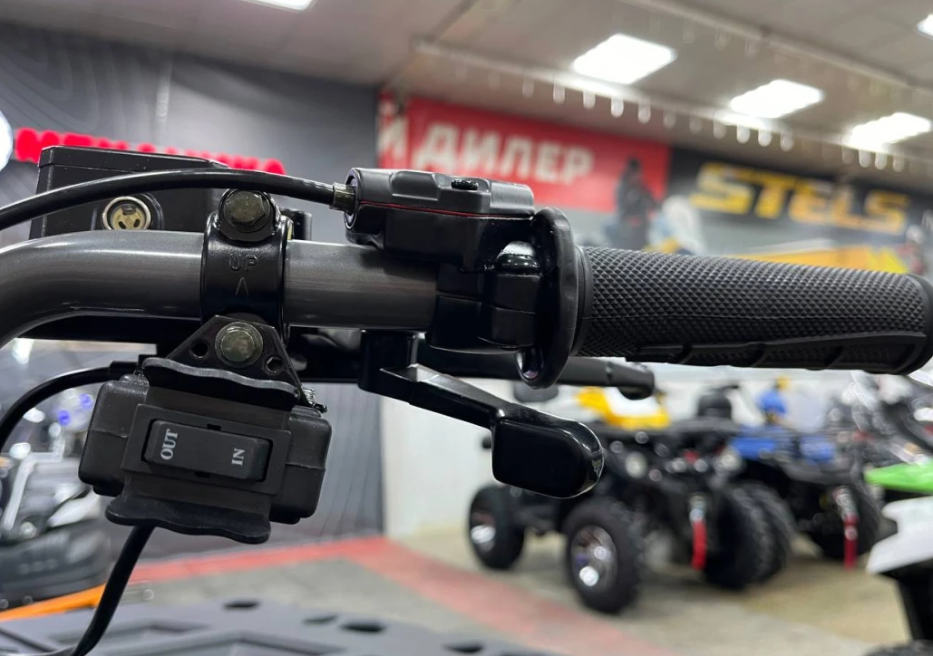 Квадроцикл PROMAX RENEGADE 300 LONG WINCH PRO (2025) в Волгограде