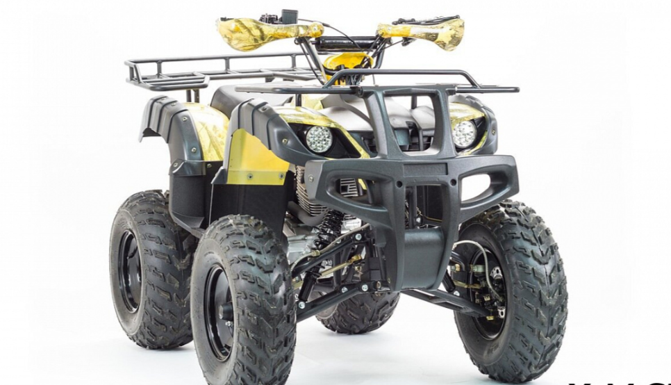 Квадроцикл MOTOLAND (МОТОЛЕНД) 250 ADVENTURE в Волгограде