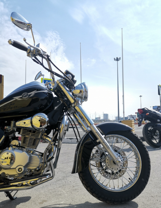 Мотоцикл MOTOLAND (МОТОЛЕНД) WOLF 250 в Волгограде