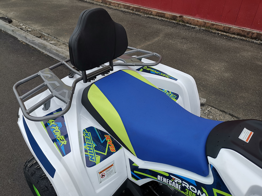 Квадроцикл PROMAX RENEGADE 280 LUX (2025) в Волгограде