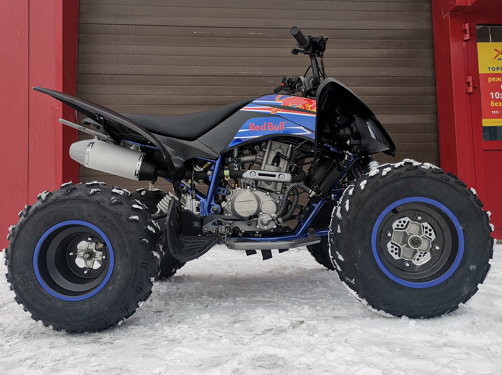 Квадроцикл PROMAX RAPTOR 300 NEW RedBull в Волгограде
