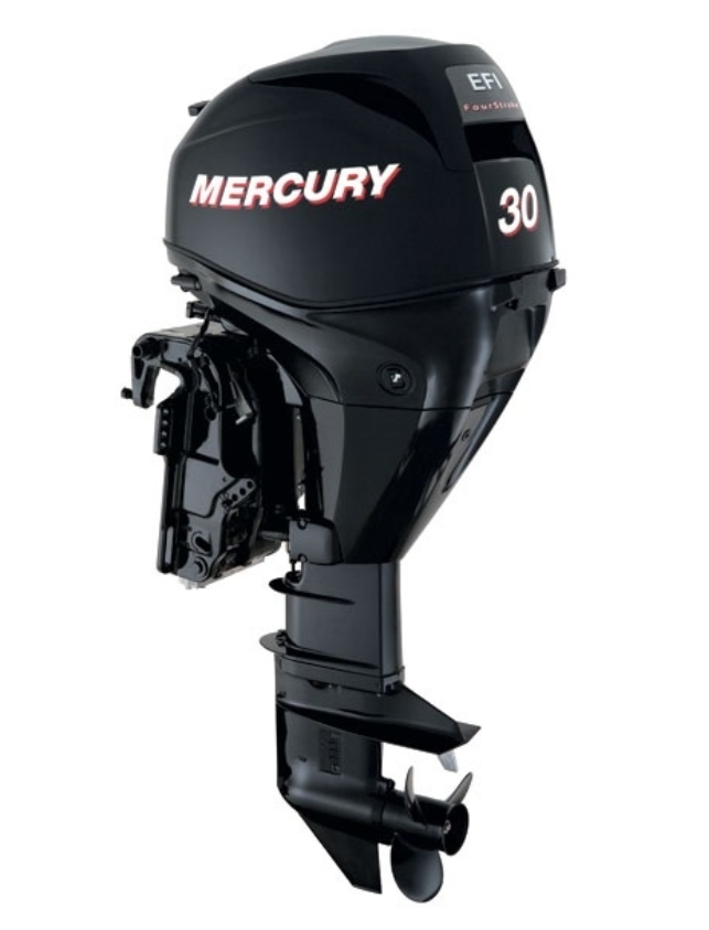 ЛОДОЧНЫЙ МОТОР MERCURY  F 30 ELH GA EFI в Волгограде