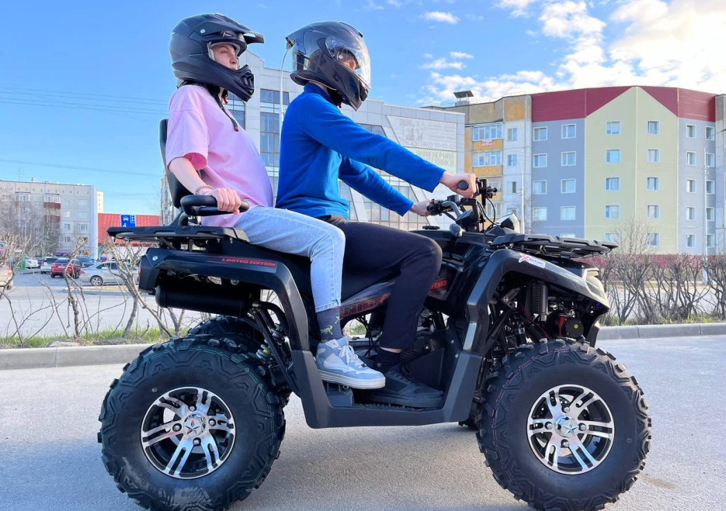 Квадроцикл PROMAX RENEGADE 300 LONG WINCH PRO (2025) в Волгограде