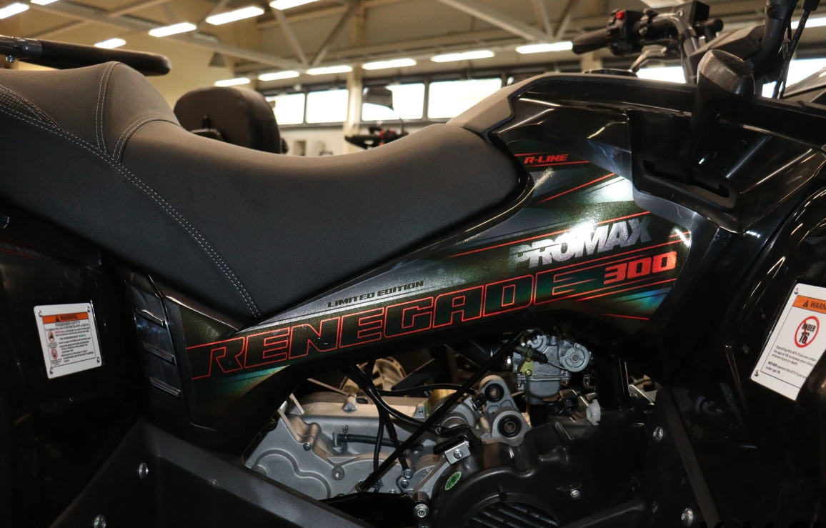 Квадроцикл PROMAX RENEGADE 300 LONG WINCH PRO (2025) в Волгограде