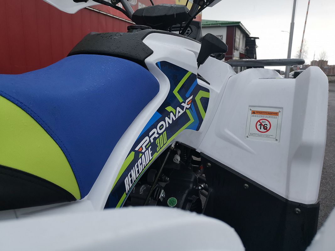 Квадроцикл PROMAX RENEGADE 280 LUX (2025) в Волгограде