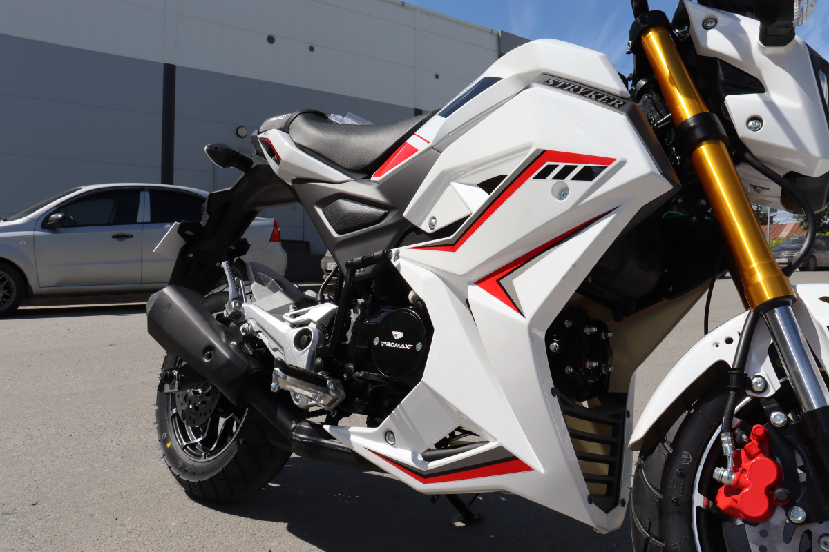 Мотоцикл PROMAX STRYKER 200(49) 2.0 в Волгограде