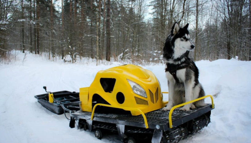 Мотобуксировщик LEBEDEV MOTORS ВОЛКОДАВ POWER V13 в Волгограде