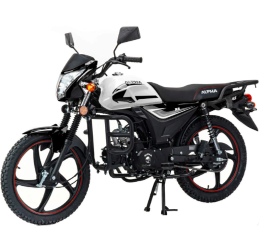 Мопед MOTOLAND (МОТОЛЕНД) Альфа RS 11 (LM48-B) в Волгограде