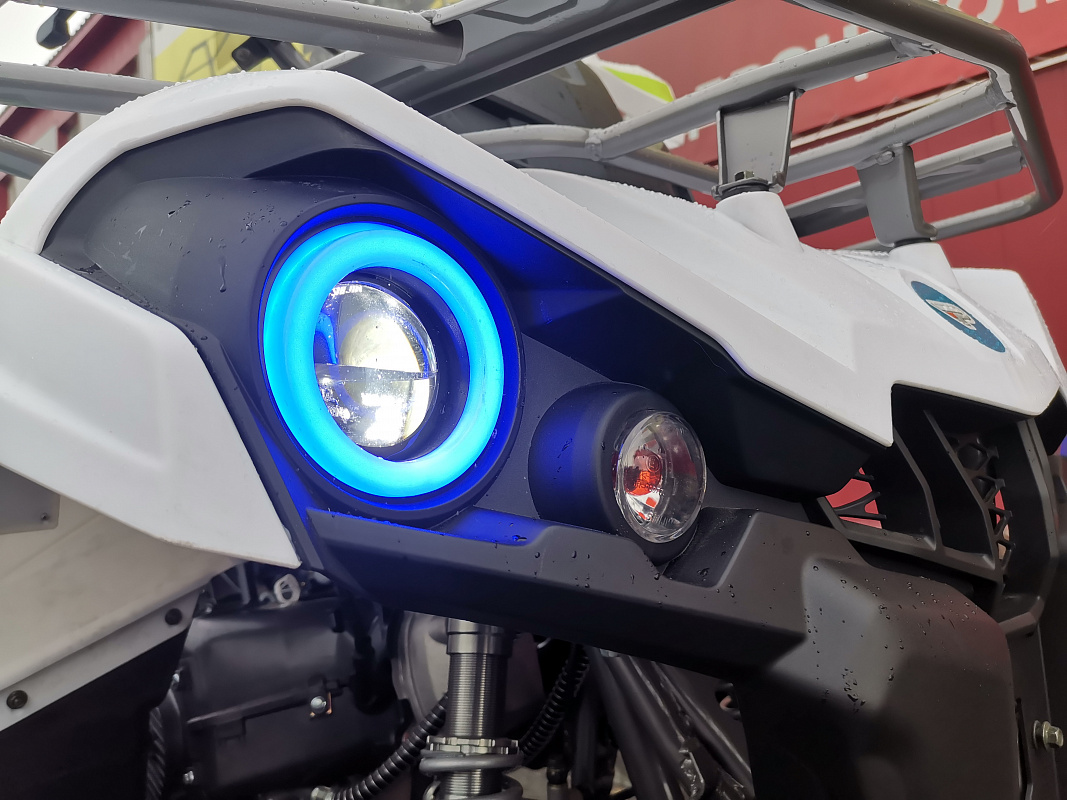 Квадроцикл PROMAX RENEGADE 280 LUX (2025) в Волгограде