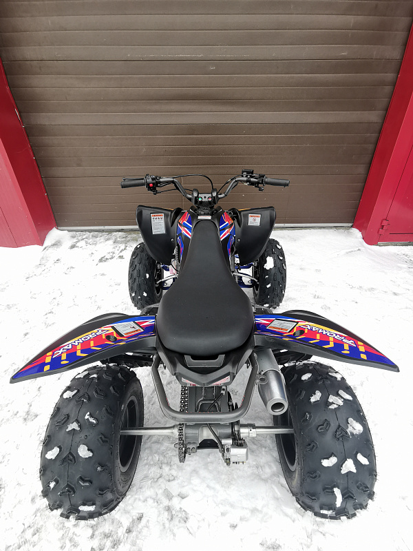 Квадроцикл PROMAX RAPTOR 300 NEW RedBull в Волгограде
