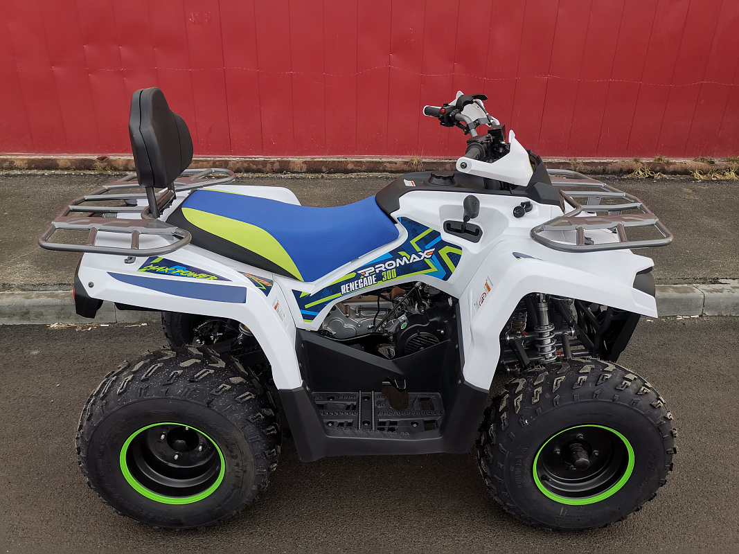 Квадроцикл PROMAX RENEGADE 280 LUX (2025) в Волгограде