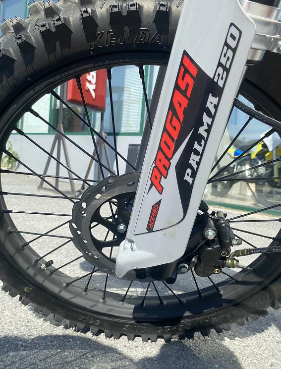 Мотоцикл Progasi PALMA 300 NEW (CB300F) в Волгограде