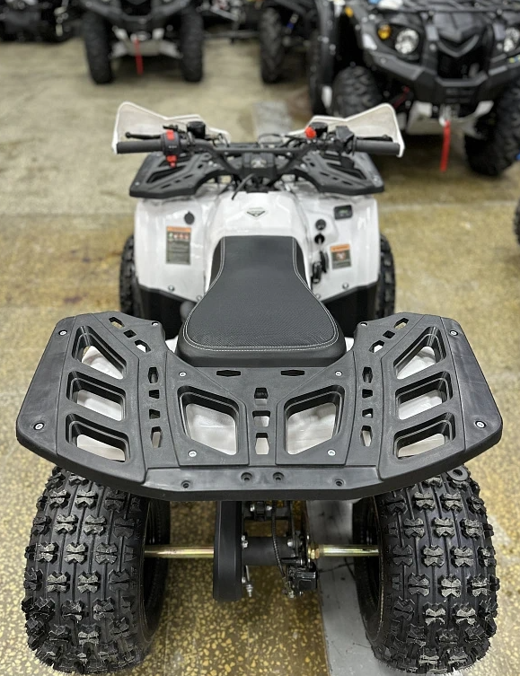 Квадроцикл PROMAX WILD 2.0 190 в Волгограде