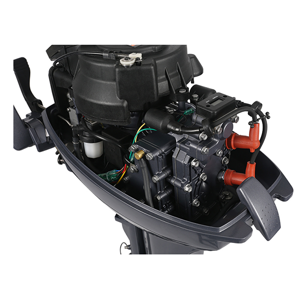 ЛОДОЧНЫЙ МОТОР ALLFA CG Т9,9 в Волгограде