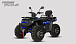 Квадроцикл PROMAX TAURUS 300 MAX-PRO LONG в Волгограде