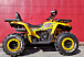 Квадроцикл PROMAX STORM 280 LUX в Волгограде
