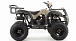 Квадроцикл MOTOLAND (МОТОЛЕНД) 200 ALL ROAD в Волгограде