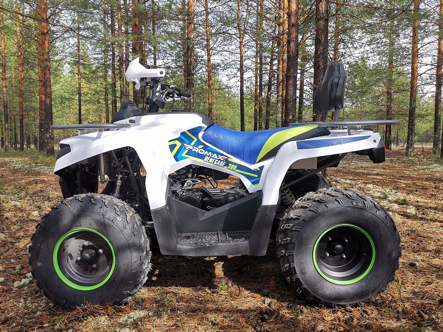 Квадроцикл PROMAX RENEGADE 280 (2025) в Волгограде