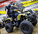 Квадроцикл PROMAX ATV 250 (2025) в Волгограде