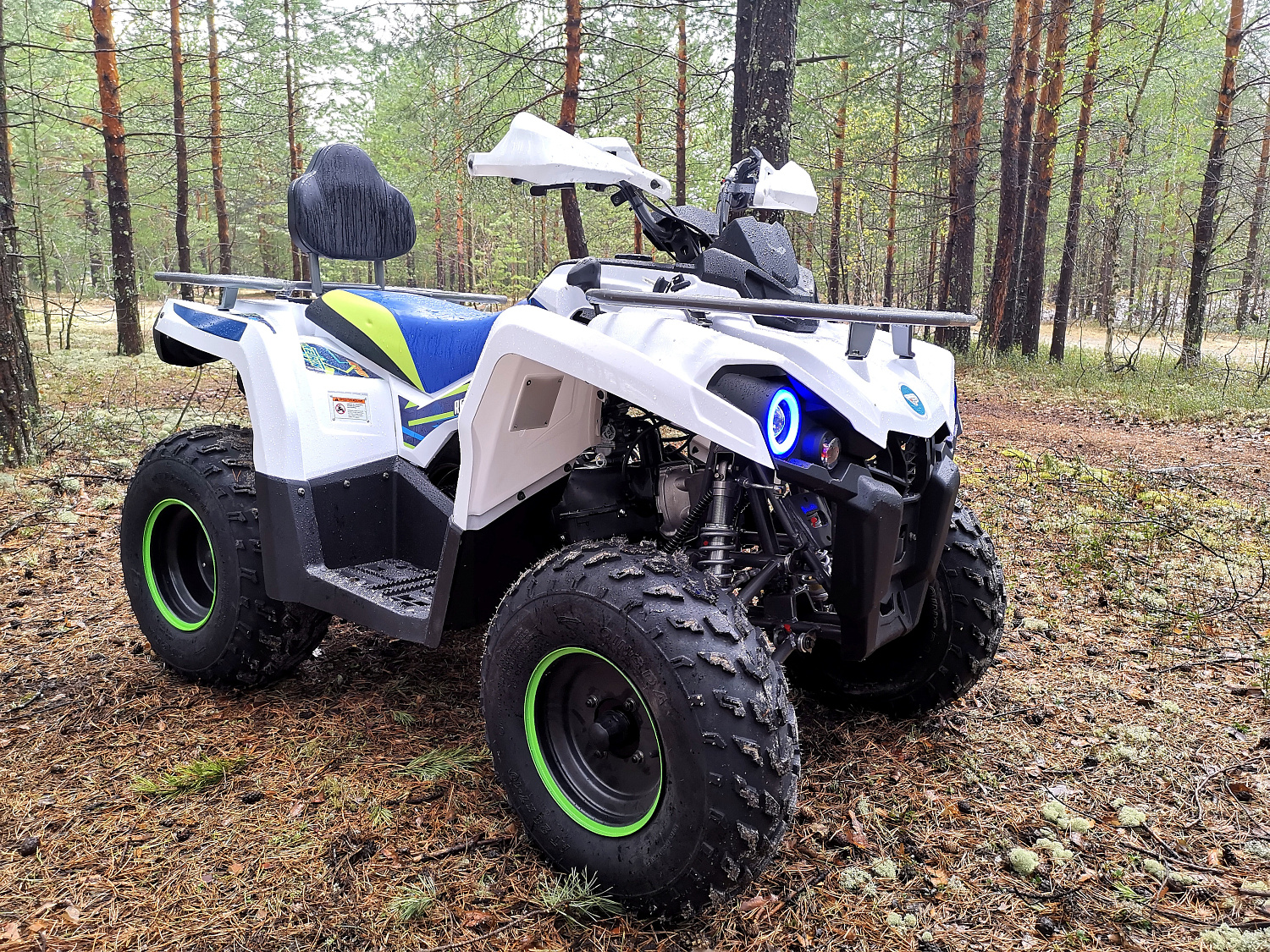 Квадроцикл PROMAX RENEGADE 280 (2025) в Волгограде