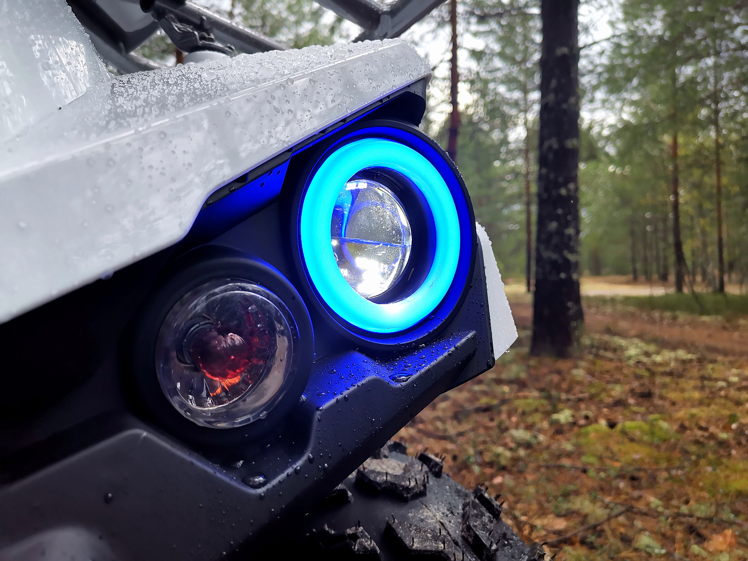 Квадроцикл PROMAX RENEGADE 280 (2025) в Волгограде