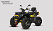 Квадроцикл PROMAX TAURUS 300 MAX-PRO LONG в Волгограде